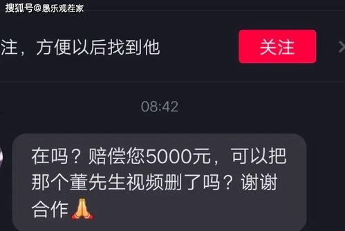 网红湾最新爆料视频大全,精彩瞬间尽收眼底