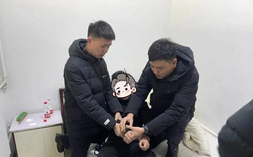 石家庄四中爆料案件最新,揭秘校园安全事件背后的真相