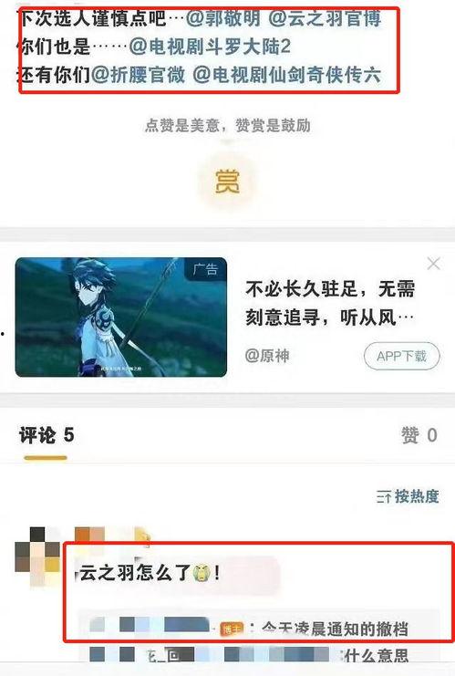 云之羽最新爆料消息