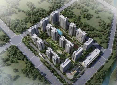 海口电白雅居爆料了吗最新消息